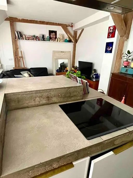 Apartment De Charme Avec Terrasse Privative *